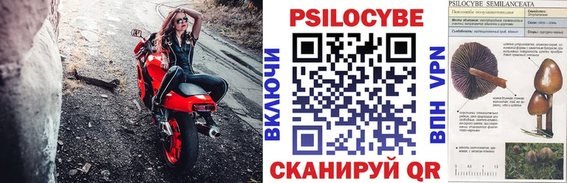 Псилоцибиновые грибы прущие грибы  Красный Кут 