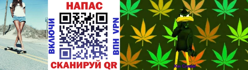 Канабис MAZAR  где продают наркотики  Красный Кут 