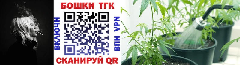 Канабис OG Kush Красный Кут